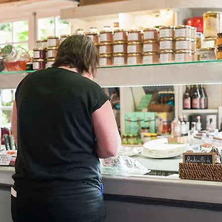 Og Boutique O Gayot Hotel