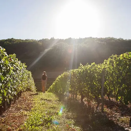 Og Boutique O Gayot Hotel Bagnoles de l'Orne Normandie