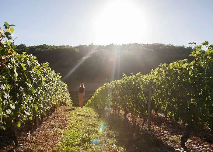 Og Boutique O Gayot Hotel Bagnoles de l'Orne Normandie